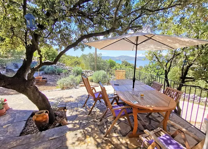 펜션 Luna 벨리키 드르베닉